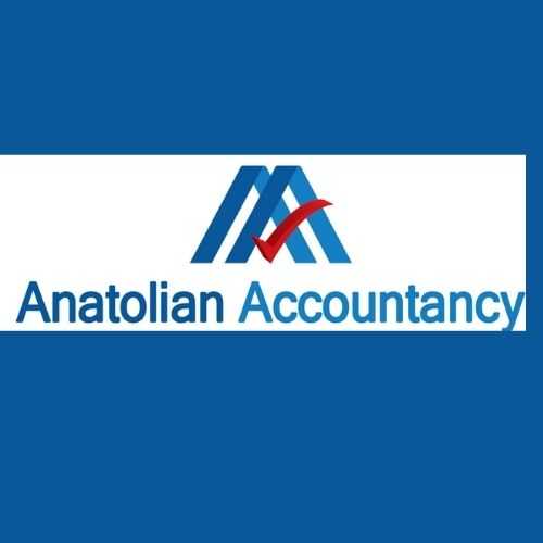 ANATOLIAN ACCOUNTANCY LTD